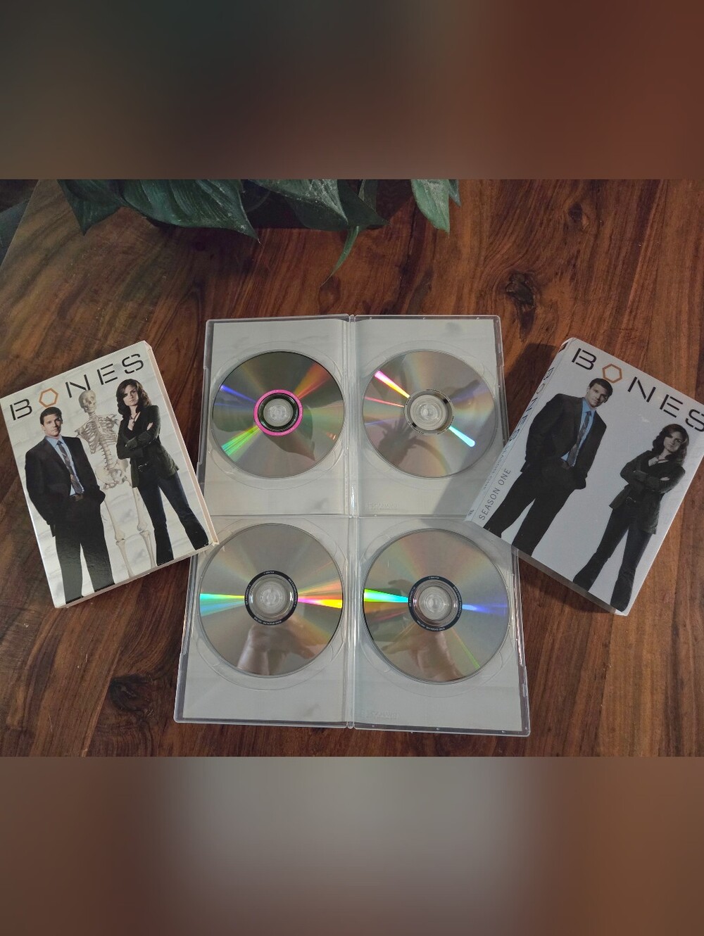 Bones Season One - 4 Disc Set